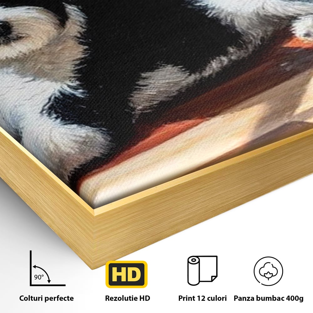 Detaliu al suprafetei: tablou canvas cu catel negru cu alb, in rama de aluminiu auriu